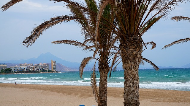 Alicante tengerpartja pálmafákkal