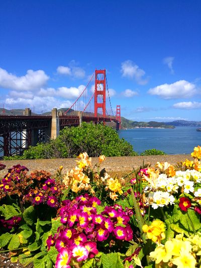 Virágok és a Golden Gate híd