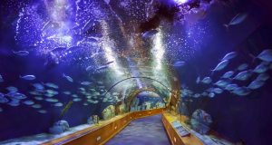 Barcelona Aquarium alagút